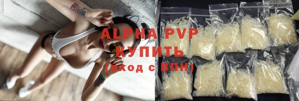 гашик Лабытнанги
