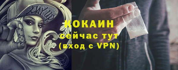 бошки Лагань