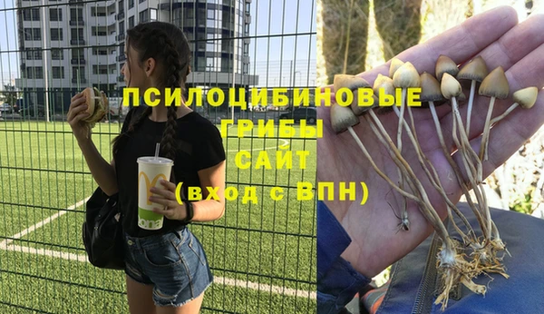прущие крисы Ладушкин