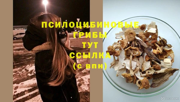 бошки Лагань