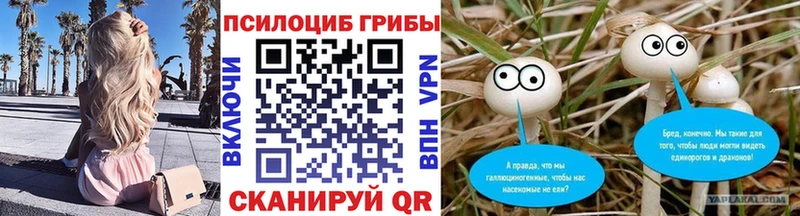 наркошоп  Сорск  Псилоцибиновые грибы прущие грибы 