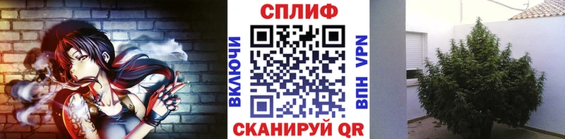 Каннабис семена  где можно купить наркотик  Сорск 